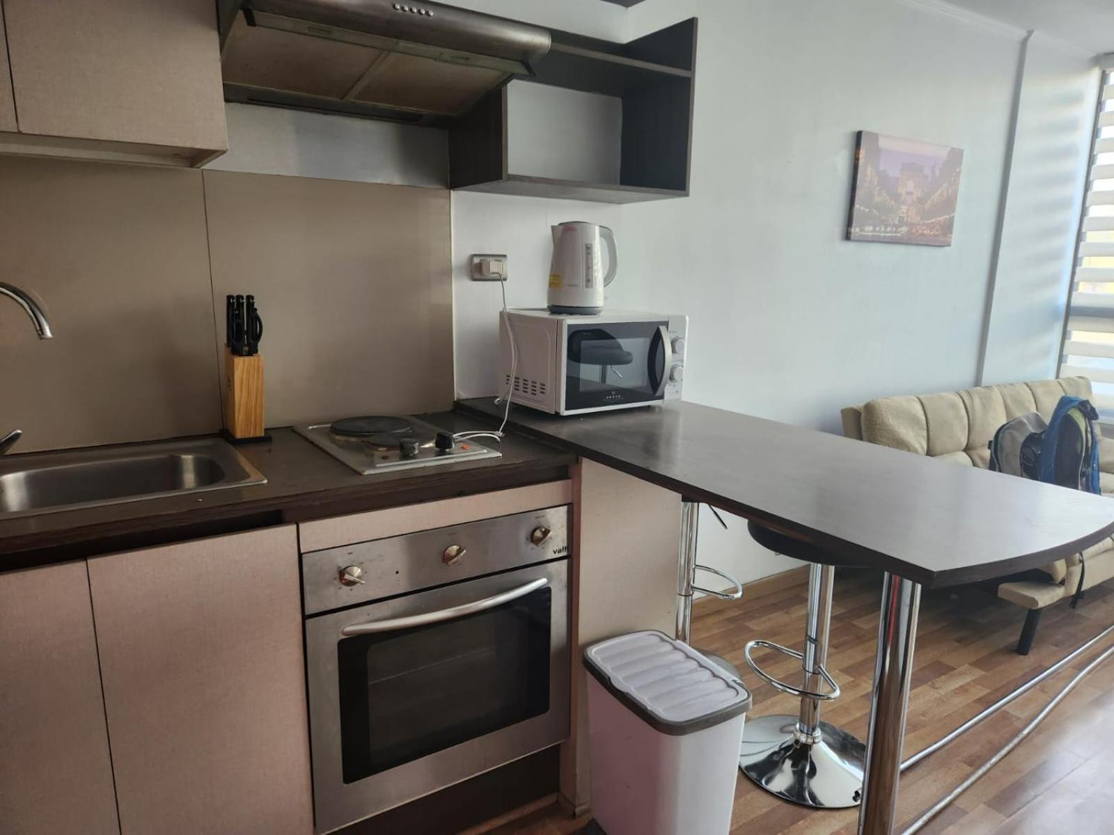 Апартаменты Departamento Paseo Bulnes Metro La Moneda Сантьяго Экстерьер фото